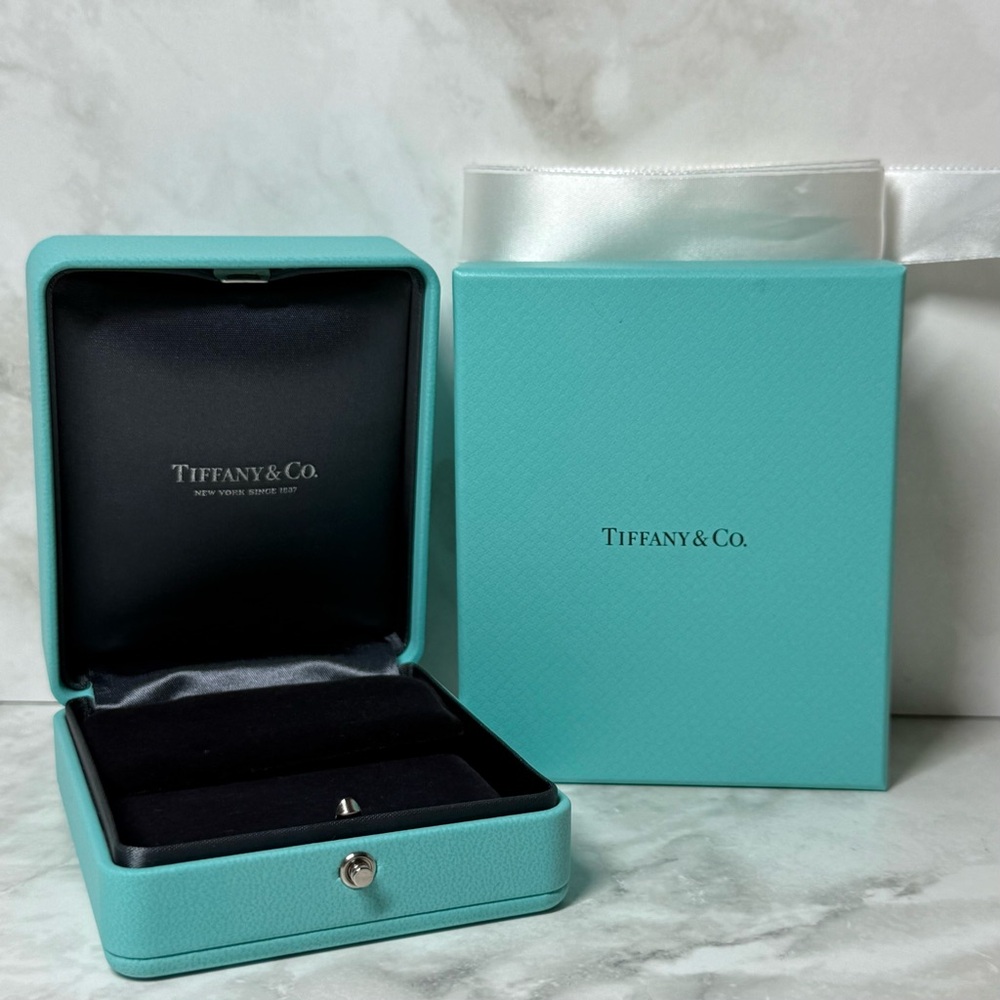 Tiffany & Co. | Earring Jewelry Box w/ Storage Box | Minty Cyan Hue